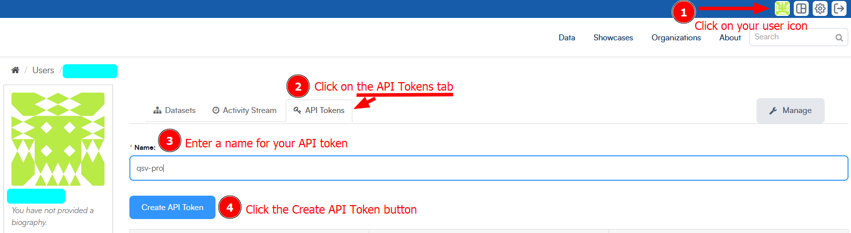 Example of CKAN API token generation on user's profile page